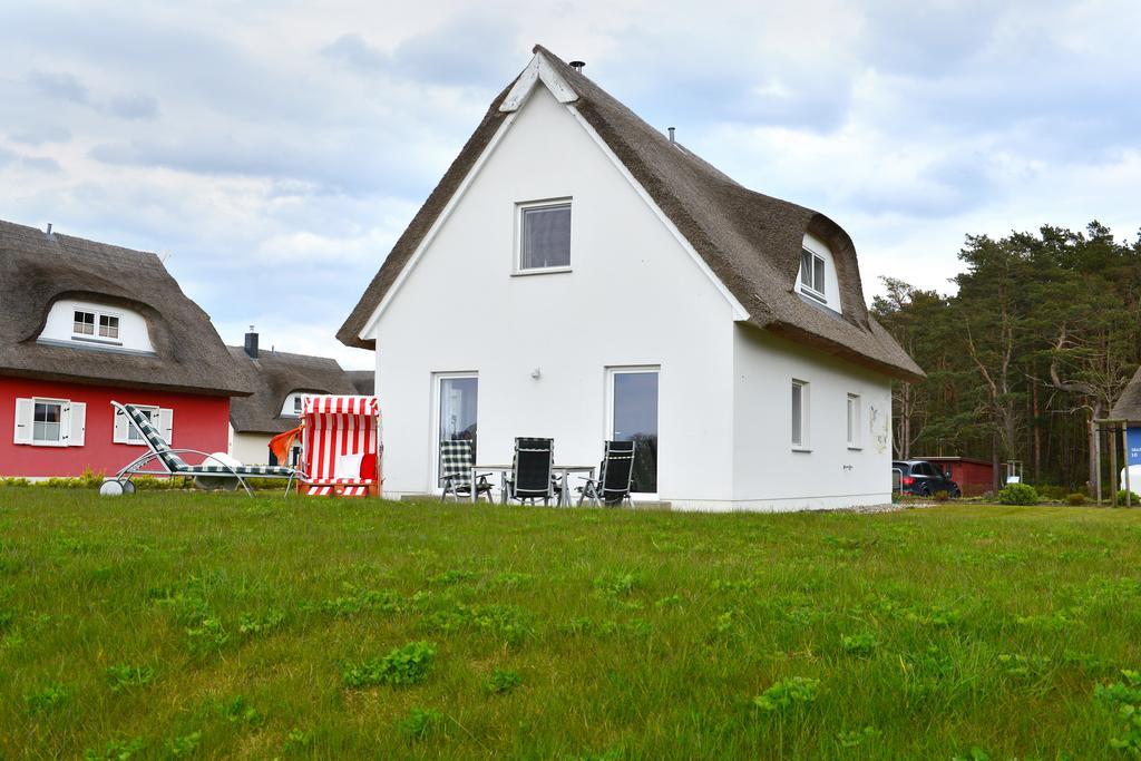 Boddenblick Hébergement de vacances Breege